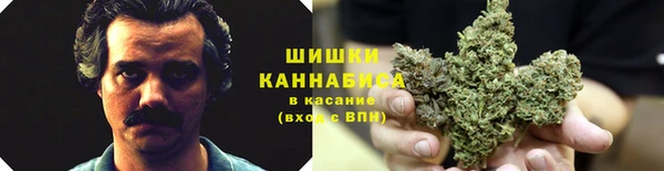 ПСИЛОЦИБИНОВЫЕ ГРИБЫ Володарск