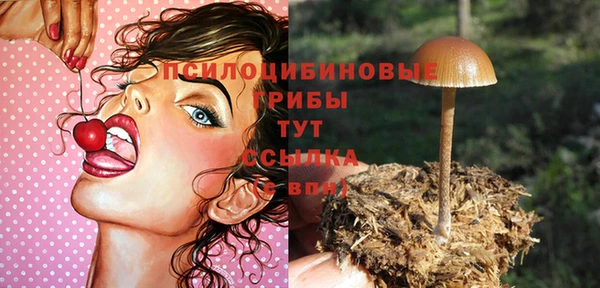 ПСИЛОЦИБИНОВЫЕ ГРИБЫ Володарск