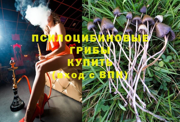 ПСИЛОЦИБИНОВЫЕ ГРИБЫ Володарск