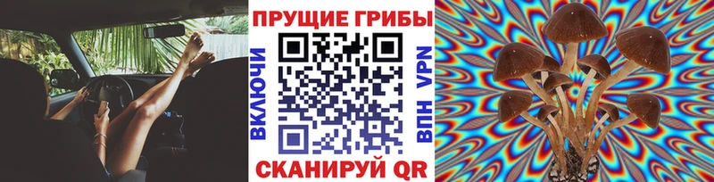 Псилоцибиновые грибы Cubensis Островной