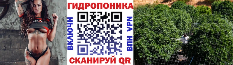 МАРИХУАНА сатива  Островной 